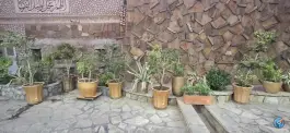 عکس ساندویچ رنگارنگ در محله شهید رجایی قم 2
