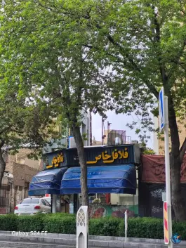 عکس فلافل خاص در محله شهید هاشمی نژاد مشهد 3