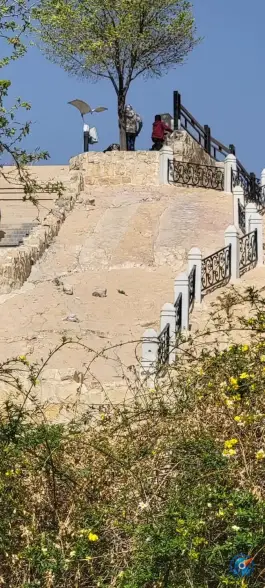 عکس قلعه بندر شیراز 2