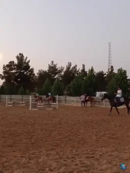 عکس باشگاه سوارکاری سمند در محله علوی شیراز 2