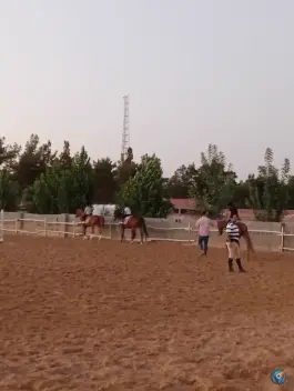 عکس باشگاه سوارکاری سمند در محله علوی شیراز 3