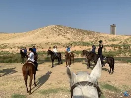 عکس باشگاه سوارکاری سمند در محله علوی شیراز 6