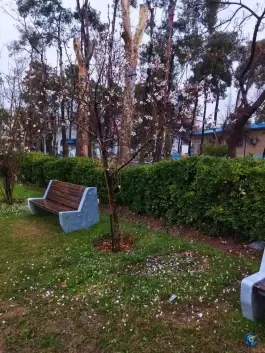 دانشکده پرستاری و مامایی حضرت فاطمه در محله ملاصدرا شیراز