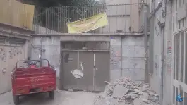 خانه فروغ فرخزاد، محله آگاهی، تهران