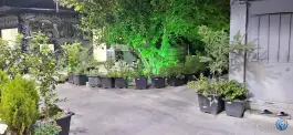 عکس کافه رستوران آریانا در بهرام آباد اصفهان 3