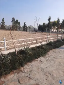 عکس باشگاه سوارکاری مهراسب قم 2
