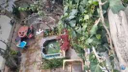 عکس خانه اصلانی در بازار تهران 5