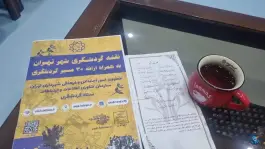 عکس خانه اصلانی در بازار تهران 8