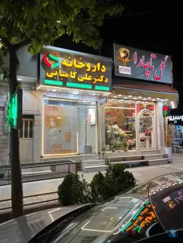 داروخانه دکتر کامیابی در بلوار میرزای شیرازی شیراز