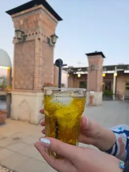 عکس هتل ارگ شیراز در محله دروازه اصفهان 7
