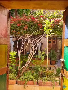 عکس خانه تاریخی راشدی، محله شاهچراغ شیراز 4