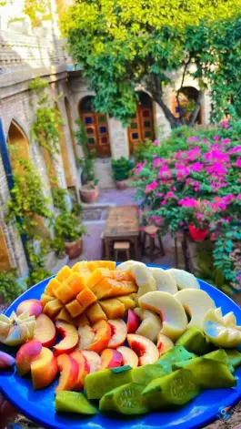 عکس خانه تاریخی راشدی، محله شاهچراغ شیراز 8