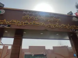 عکس دبستان پسرانه دانشگاه علوم پزشکی در نیایش شیراز 8