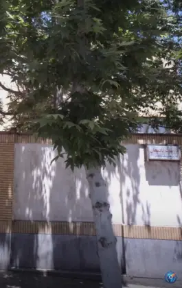 تزریقات و پانسمان در محله سجاد مشهد