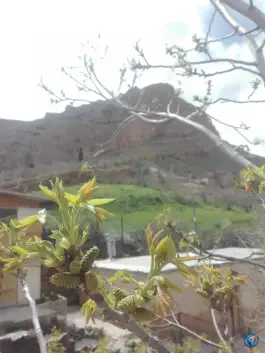 عکس مجموعه گردشگری گیله وا جاده قلات شیراز 5