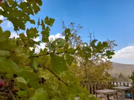عکس مجموعه گردشگری گیله وا جاده قلات شیراز 7