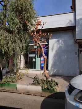 عکس داروخانه دکتر پارسا در محله منبع آب قم 2