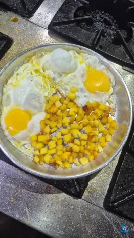 عکس کافه صبحانه جنگل در نازی آباد تهران 7