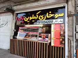 عکس سوخاری کیلویی پاندا در محله ارم قم 2