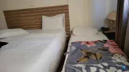 هتل نصیرالملک شیراز، محله سنگ سیاه