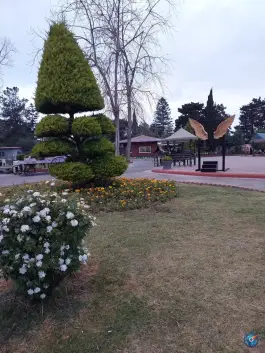 عکس پارک پردیس سرخرود محمودآباد 5