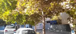 دبیرستان پسرانه غیرانتفاعی دوره اول بصیر در محله آسنجان اصفهان