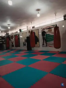 عکس های باشگاه ورزشی رزمیکاران آرشا در محله حضرت حجت مشهد