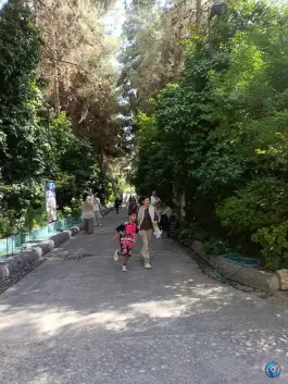 عکس مجموعه شاندیز هفت ایوان در لامپ سازی شیراز 2