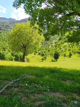 عکس عمارت روستایی دورود 3
