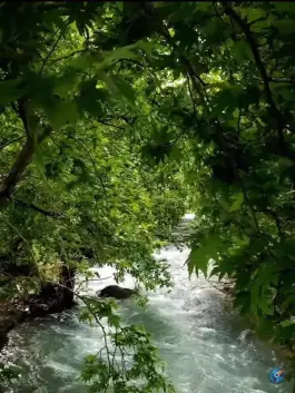 عکس عمارت روستایی دورود 9