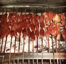 عکس جگرکی فرهنگ در باغ شازده قم 2