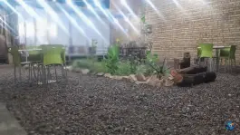 عکس جگرکی جیگر طلا زارچ 2