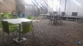 عکس جگرکی جیگر طلا زارچ 3
