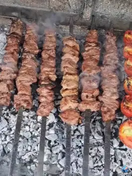 عکس کته کبابی عمو سیامک نوشهر 6