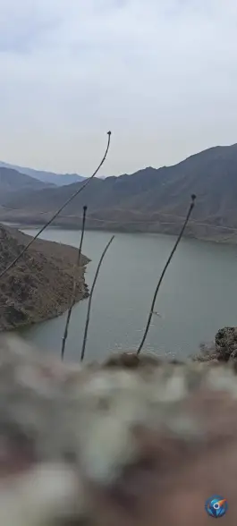 عکس سد عمارت در کلیبر 5