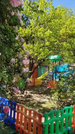 عکس دبستان دخترانه سایه مهربانی در جردن تهران 2