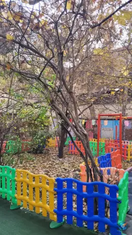 عکس دبستان دخترانه سایه مهربانی در جردن تهران 3