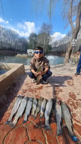 عکس پارک پرنس تهران 4