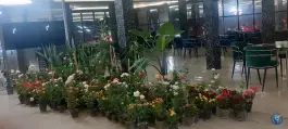 عکس های کافه رستوران سنترال در بهارستان قیدار