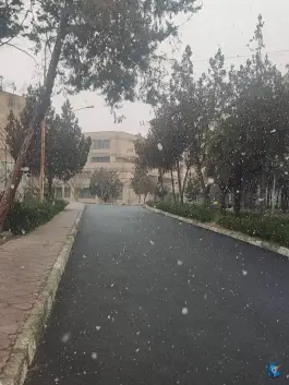 عکس دانشگاه هنر تهران «پردیس کرج» در ارس، کرج 3