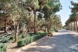 عکس دانشگاه هنر تهران «پردیس کرج» در ارس، کرج 7