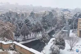 عکس دانشگاه هنر تهران «پردیس کرج» در ارس، کرج 9