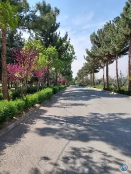 عکس دانشگاه هنر تهران «پردیس کرج» در ارس، کرج 10
