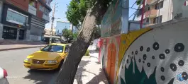عکس دبستان دخترانه طلوع دانش مهرشهر کرج 4