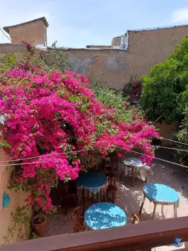 عکس عمارت قوام الملک در محله گود عربان شیراز 7