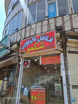 عکس های فلافل کیلویی شکمو در میدان کیاشهر