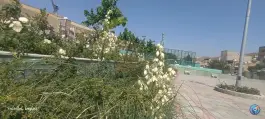 عکس زمین چمن مصنوعی فوتبال بوستان شهید عزیزی در شهرک فرشته کرج 2