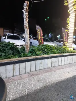 عکس سیب زمینی رومانو در عظیمیه کرج 3