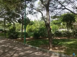 عکس بیمارستان الغدیر در محله علم و صنعت تهران 6