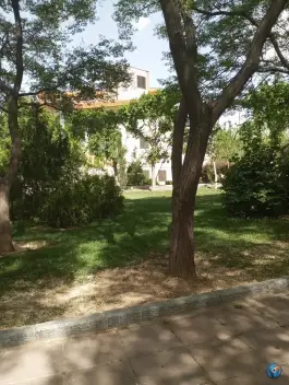 عکس بیمارستان الغدیر در محله علم و صنعت تهران 7